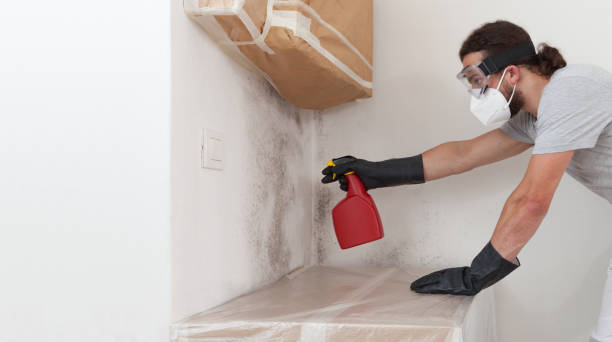 Professional Bathroom Mold Removal technician working in Hallandale, FL