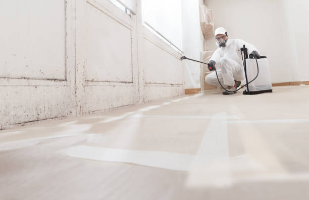 24/7 Emergency Bathroom Mold Removal experts in Hallandale, FL